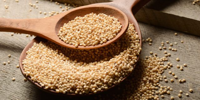 cereali-antichi-sorgo-1600×800